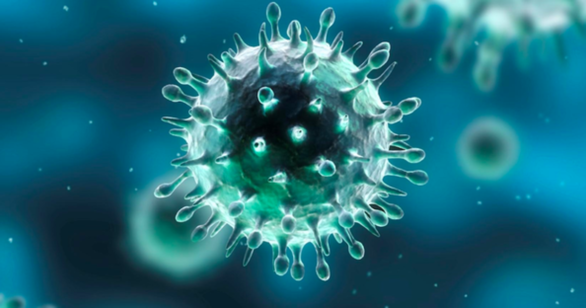 Coronavirus: palestra chiusa