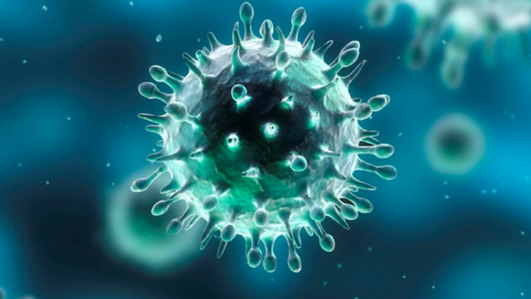 Coronavirus: palestra chiusa