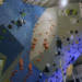 Milano Climbing Expo 23